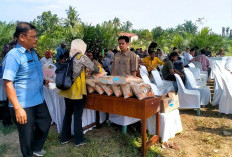 Dukung Ketahanan Pangan, PTPN IV PalmCo Salurkan Bantuan 22 Ton Benih Padi Gogo untuk Petani Sawit di Sumut