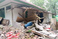 Markas Polhut Diserang Kawanan Gajah Liar