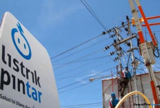 Diskon Listrik 50 Persen Mulai Berlaku 