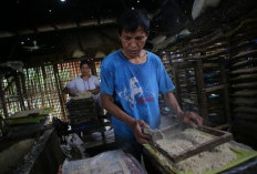  Pekerja Sektor Informal Naik Jadi 59,40% pada Februari 2025