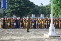 Rekrutmen CPNS Mesuji, Ini Informasi Terbarunya