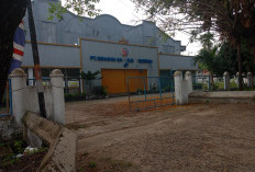 BUMD Dilantik, Direksi Tak Ngantor