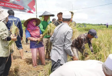  Kementan Dorong Pembentukan Korporasi Petani