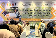 Atasi Deforestasi, Rainforest Alliance Luncurkan Proyek RESOLVE