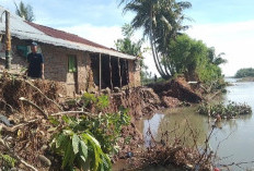 Warga Khawatir Kerusakan DAS Way Laay Ancam Permukiman