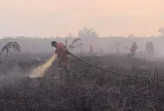  Lalai Cegah Karhutla, Perusahaan Akan Disanksi