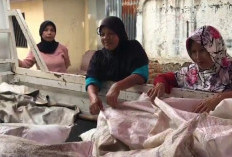 Idul Adha, Pengepul Kulit di Bandar Lampung Banjir Orderan   