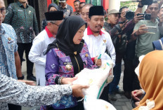  Pemkot Bandar Lampung Salurkan Bantuan 56 ribu Karung Beras dari Bapanas 