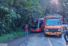 Dishub Pesbar Harap Bus Kecil Tetap Bisa Lewati Jalur Liwa-Krui