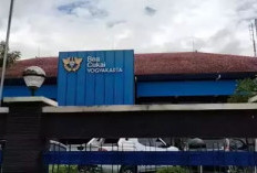  Penerimaan Bea Cukai Juli 2025 Tembus Rp171 T