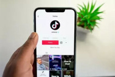  Imbas Adopsi AI, TikTok Akan PHK Ratusan Karyawan 