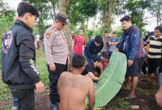 Geger! Pria di Pringsewu Ditemukan Meninggal di Pohon Asam
