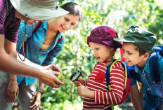 Mengenal Pentingnya Wisata Edukasi untuk Anak dalam Pembentukan Karakter dan Pengetahuan 