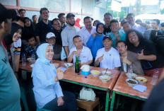 Dasco Beber 'Clue' Calon Pendamping Mirza di Pilgub Lampung, Ini Inisialnya