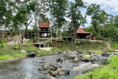 Camping di Tepi Sungai, Weekend Bareng Keluarga Lebih Berkesan