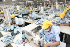   Gaya Berkelanjutan dan Teknologi Memimpin Pasar