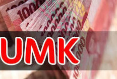 Pemkab Mesuji Tunggu Peraturan Kemnaker Bahas UMK 2025