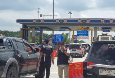 Arus Mudik 2025, Puluhan Ribu Kendaraan Mulai Masuki Lampung