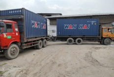 Perdana Tembus Taiwan, Tapioka Lampung Berlayar