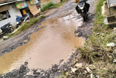 Jalan Banjit–Kasui Akan Dibeton, Pemkab Waykanan Usul Perbaikan Rp29 Miliar 