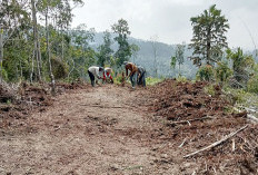 Buka Jalan untuk Permudah Mobilitas Petani 