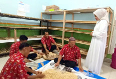 Napi Lapas Rajabasa Produksi Tempe Berkualitas, Siap Berwirausaha Usai Bebas