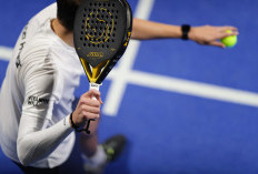 Ini 10 Manfaat Padel bagi Tubuh Jika Rutin Dilakukan