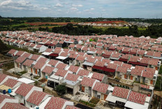  Kementerian PKP Siapkan 1.000  Rumah Subsidi Khusus untuk Wartawan