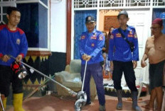 Ular Kobra Masuk ke Rumah Warga, Damkar Tuba Bergerak 