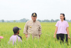 Dimudahkan E-KPB, Petani Ucap Terima Kasih Pak Gubernur Arinal