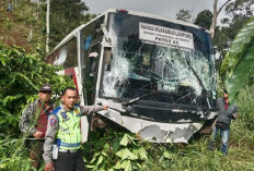 Terhalang Kabut, Bus Ranau Indah Terjun ke Jurang 50 Meter 