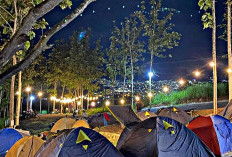  Gubak Hills Cafe & Nature, Camping di Atas Bukit dengan View Kota Bandar Lampung