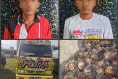 Dua Pencuri Sawit dan Truk Diamankan di Tubaba