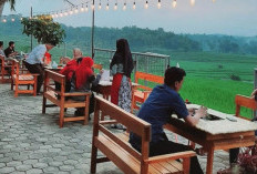 3 Resto Pinggir Sawah, Alternatif Ngabuburit Sekaligus Buka Puasa