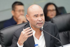 NasDem Sesalkan Impor 250 Ton Beras ke Sabang di Tengah Surplus Nasional