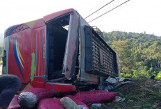   Bus Sriwijaya Terbalik, 5 Luka Berat