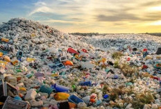 Wow! Indonesia Penghasil Sampah Plastik Terbesar Kedua di Dunia
