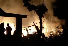 Kebakaran di Lampung Selatan Sehari 2 Kali Terjadi, 4 Rumah Ludes Terbakar