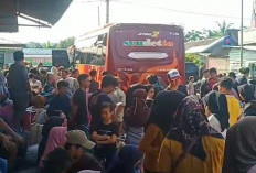Pemudik Asal Pesisir Barat Padati Loket Bus AKAP Rute Krui-Jakarta