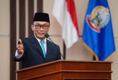 BKN Pastikan Pengangkatan CPNS Paling Lambat Juni 2025, PPPK Oktober