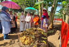  Kebun Kedaton Wakili Regional 7 Lomba Kebersihan Lingkungan Tingkat Subholding