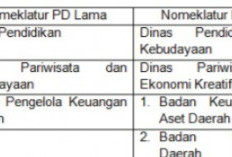 Empat OPD Tanggamus Nomenklatur Baru 