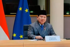  Indonesia Kena Tarif AS 19 Persen dengan Empat Syarat