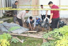 Bocah 2,5 Tahun Tewas Tenggelam di Lubang Septic Tank