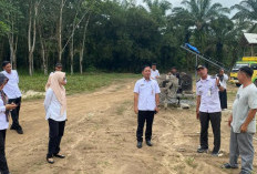 DPMPTSP Tuba Awasi Izin dan LKPM Tiga Perusahaan