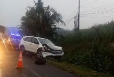 Tabrakan Beruntun di Jalinsum Sidomulyo, 2 Mobil Pribadi Ringsek 1 Truk Terguling
