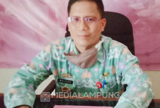  Stok CPPD Lambar 49 Ton Lebih