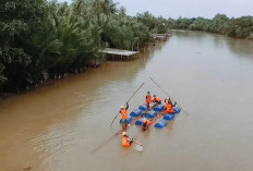 Bangun Kelistrikan Daerah Terpencil, PLN Ajukan 3 Triliun PMN 2025 