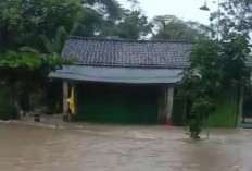 Hujan Deras dan Sungai Meluap, 5 Kecamatan di Tulang Bawang Terendam Banjir, Ribuan Hewan Ternak Hanyut