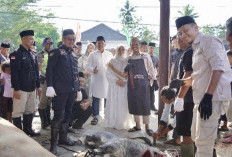 Bupati Pringsewu Jadi Petugas Penyembelih Sapi Bantuan Presiden 